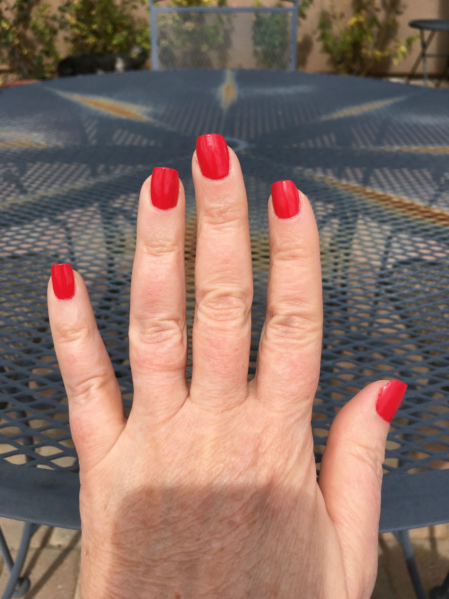 Dry Home Manicure in Sun Image