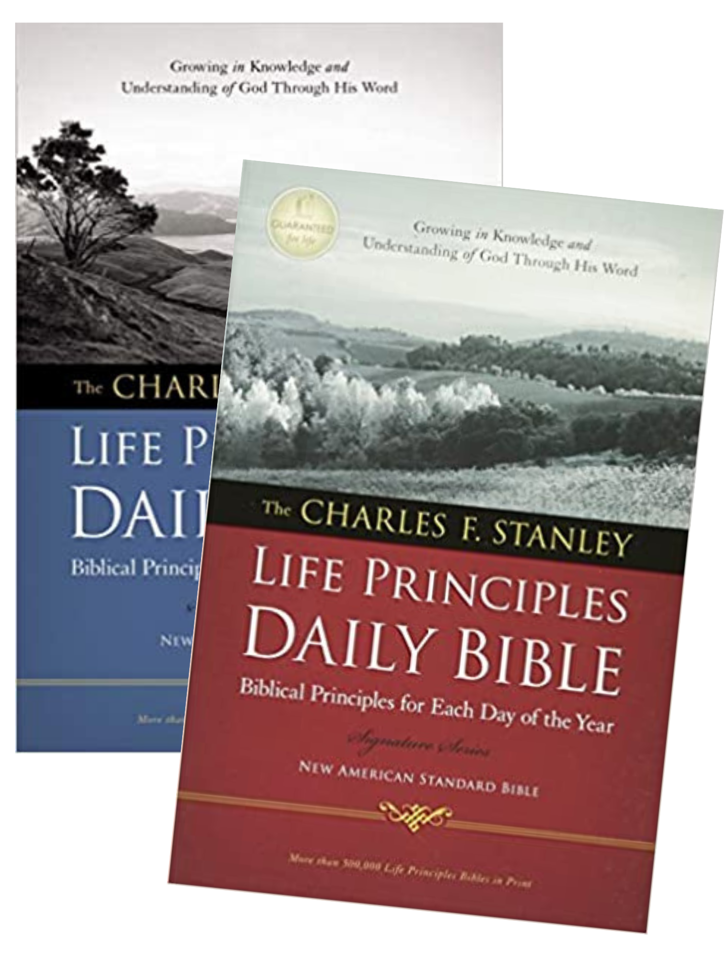 5 Systems Life Principles Daily Bible