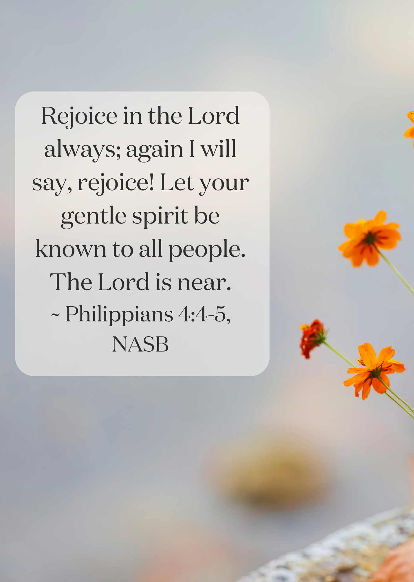 Scripture Meditation and Memory Banners (11)