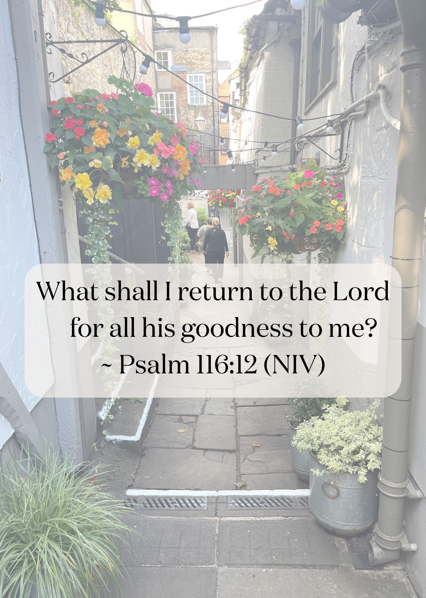 What shall I return to the Lord     for all his goodness to me? ~ Psalm 116:12 (NIV)