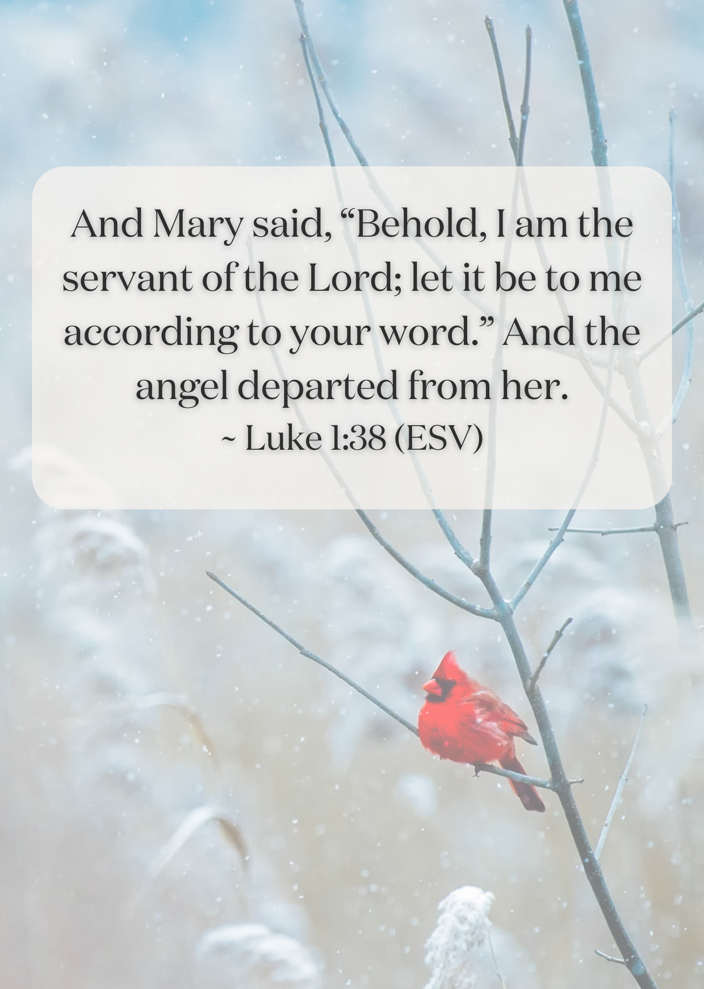And Mary said, “Behold, I am the servant of the Lord; let it be to me according to your word.” And the angel departed from her. ~ Luke 1:38 (ESV)
