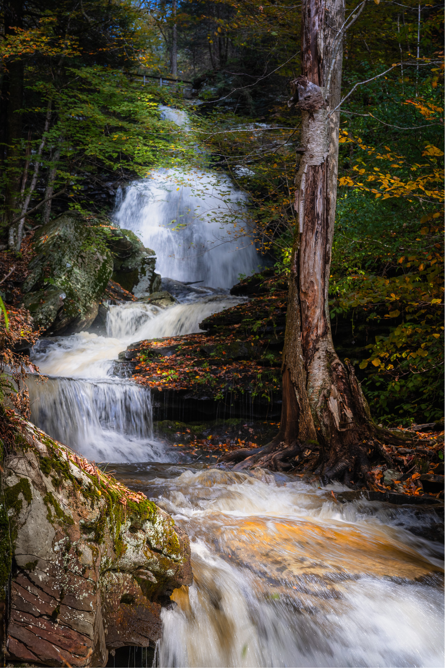 Ricketts Glen State Park, Pennsylvania